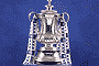 Winning the FA Cup for first time